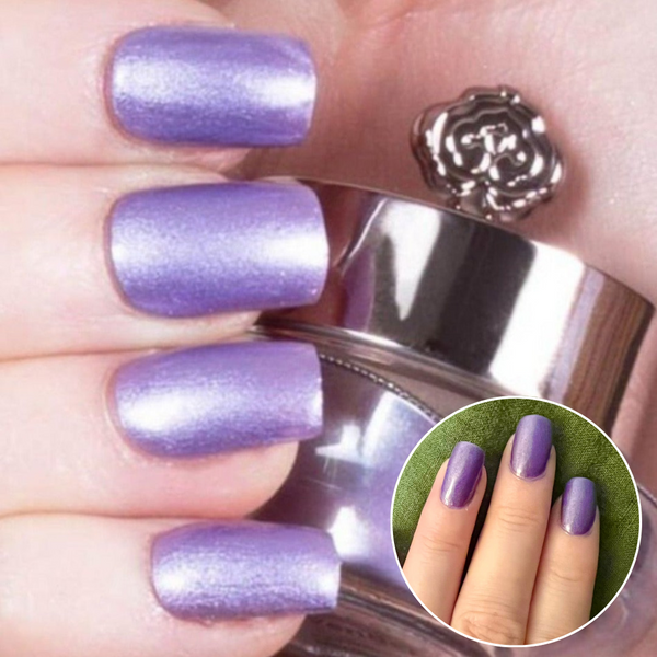 Lavanda - Classico